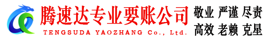 嘉鱼收债公司